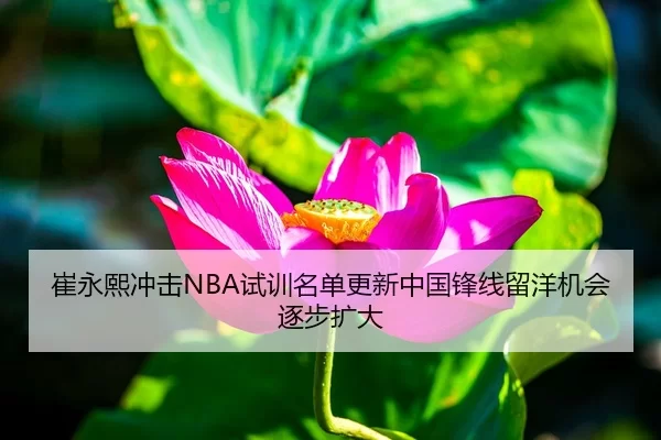 崔永熙冲击NBA试训名单更新中国锋线留洋机会逐步扩大